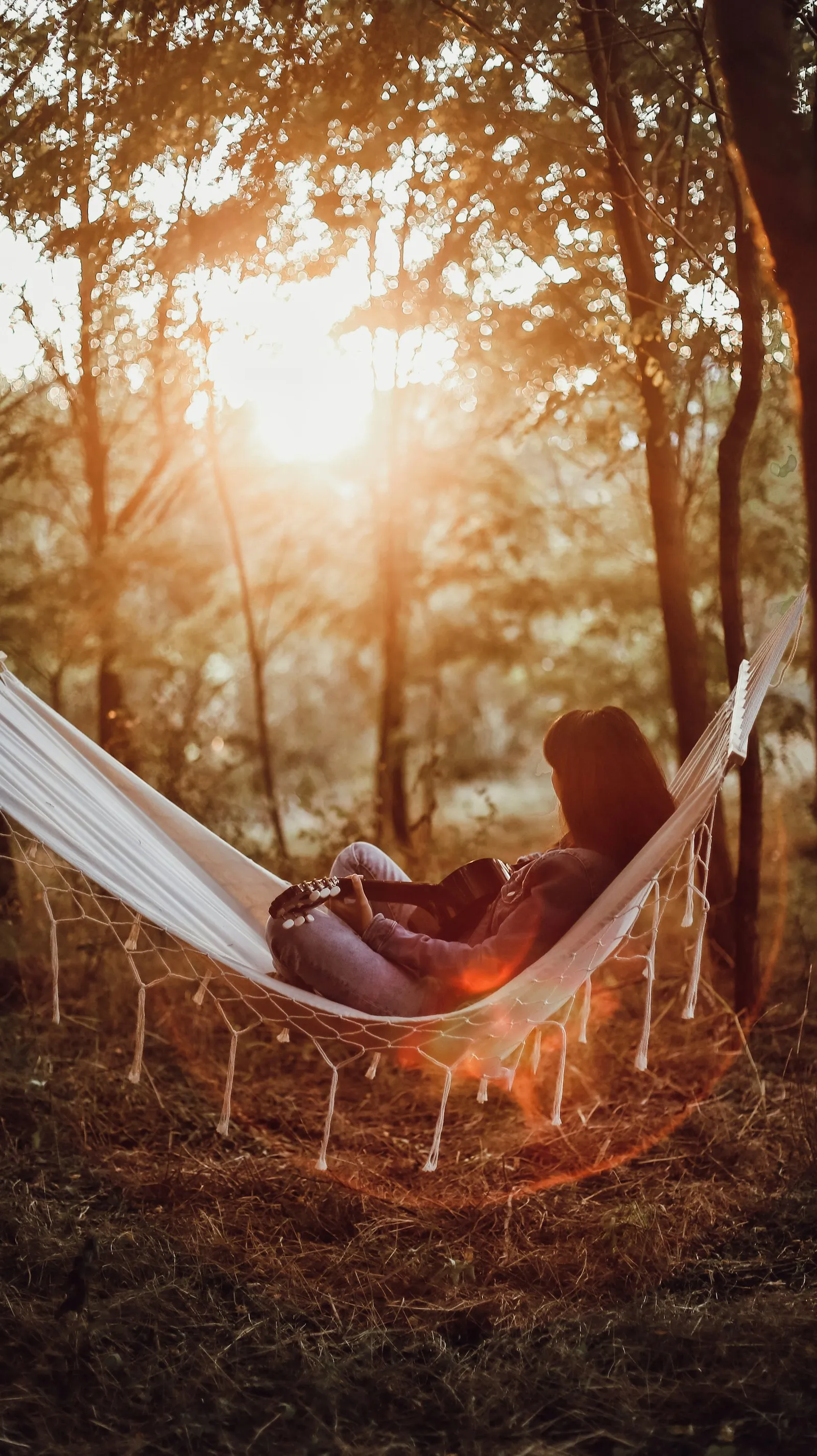Resting in a hammock under golden forest light